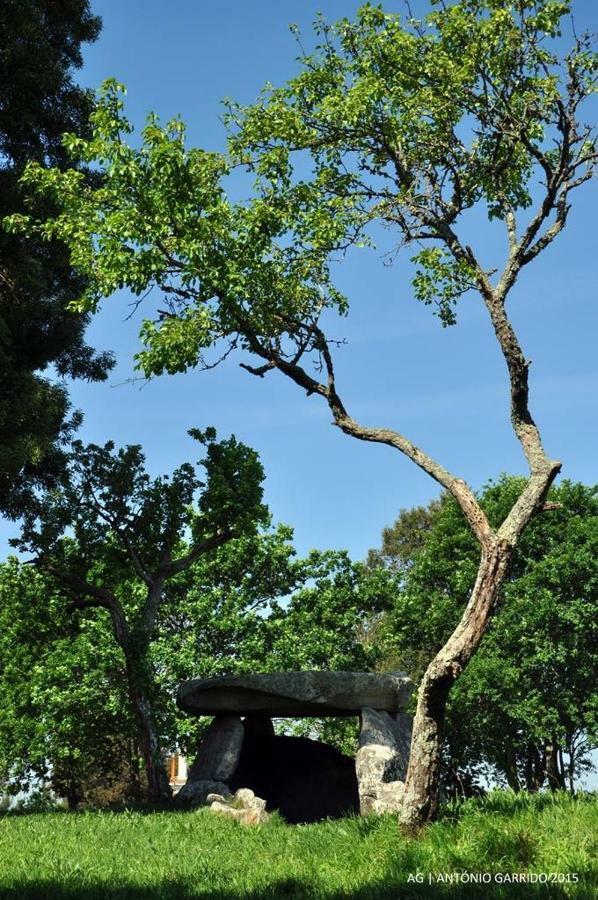 Angelas - Casa Da Galega Vila Praia de Âncora Kültér fotó